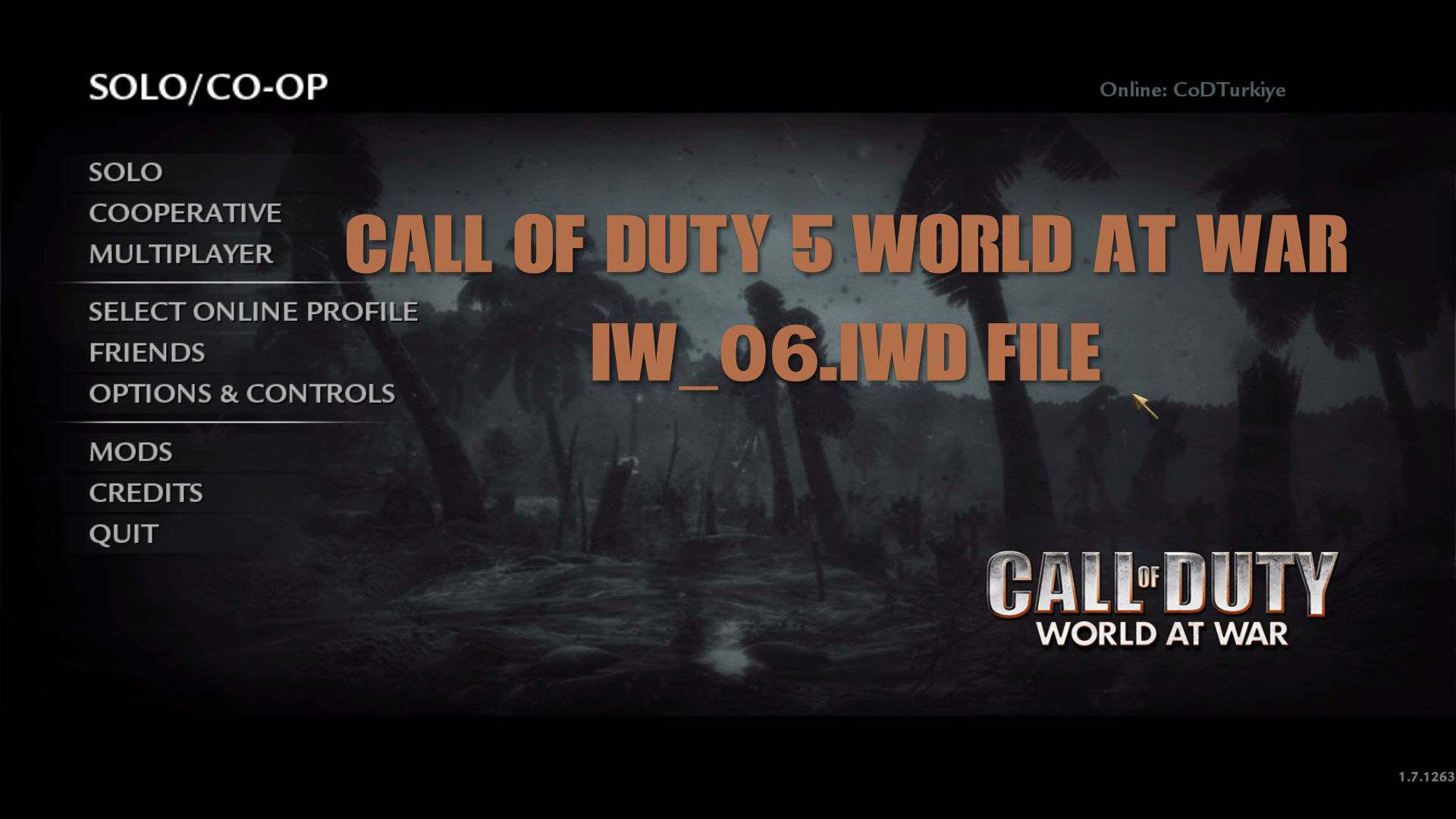 Call of Duty 5 World at War HatalarÄ±, Sorunlar ve Ã‡Ã¶zÃ¼mleri ... - 